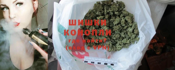 шишки Медвежьегорск