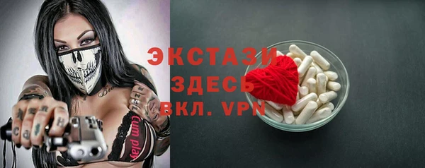 шишки Медвежьегорск