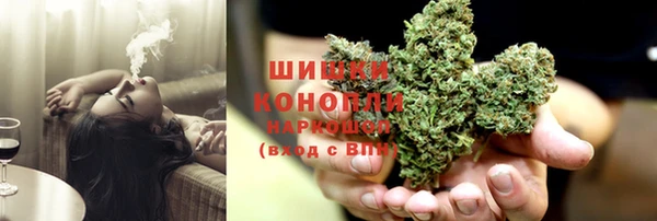 шишки Медвежьегорск