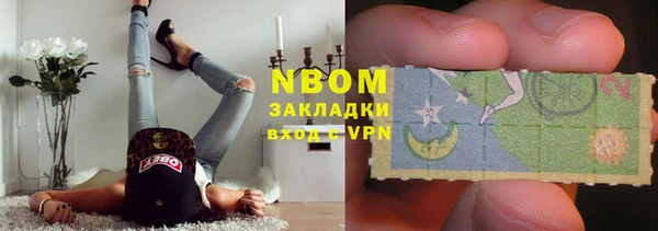 шишки Медвежьегорск