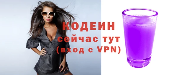 шишки Медвежьегорск