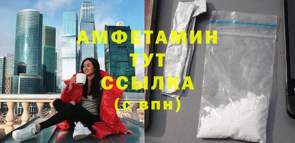 шишки Медвежьегорск