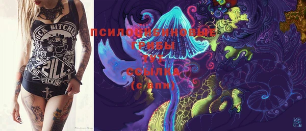 шишки Медвежьегорск