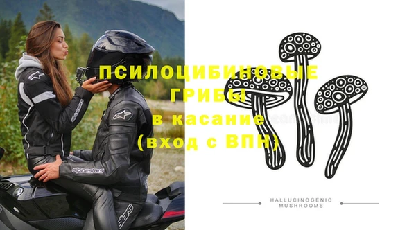 шишки Медвежьегорск