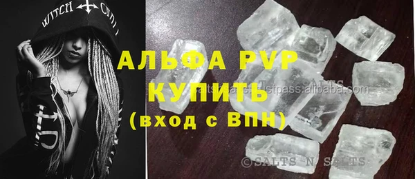 шишки Медвежьегорск