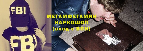 шишки Медвежьегорск